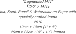 "fragmented M11"